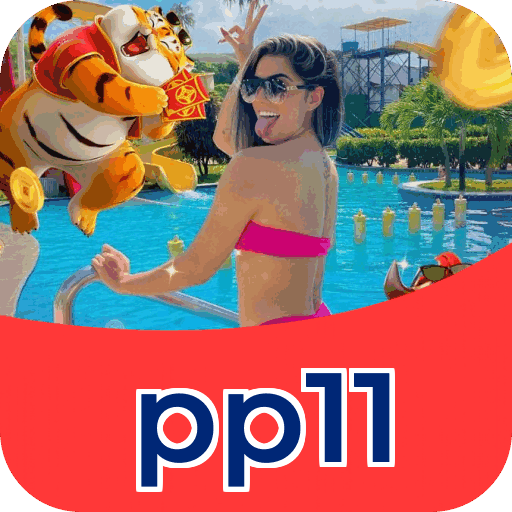 Especificações técnicas download pp11